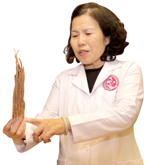 tiến sĩ, bác sĩ Nguyễn Thị Vân Anh